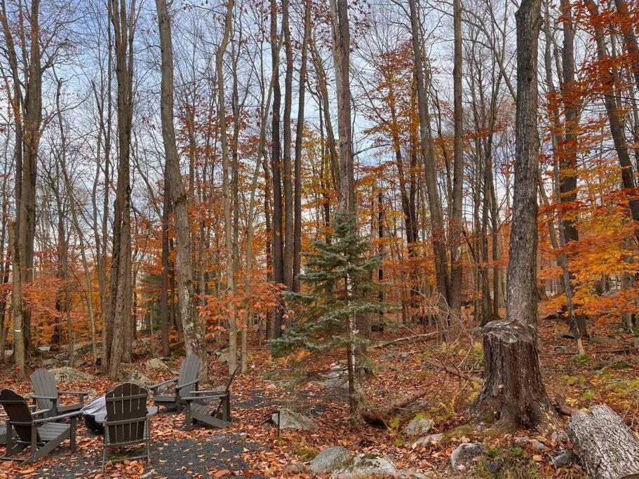 Stylish And Cozy Cabin, Walking Distance To Big Bass Lake Gouldsboro ภายนอก รูปภาพ